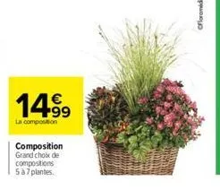 14.99  €  la composition  composition grand choix de compositions  5 à 7 plantes. 