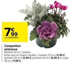 19⁹  La composition  Composition extérieure  Diamètre 20 cm, 3 plantes.  Existe aussien d'autres modèles: 4 plantes 23 cm à 12,99 € jardinière 30 cm à 14,99 € jardinière 40 cm à 16,99 € et coupe 30 cm