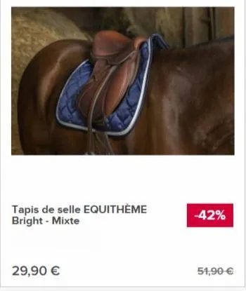 tapis de selle equithème bright - mixte  29,90 €  -42%  51,90 € 