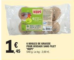 HOPI  HOME TURNIE  €  45 540 g. Le kg: 2,69 €  6 BOULES DE GRAISSE POUR OISEAUX SANS FILET "HOPI 