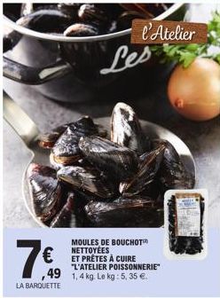 moules 