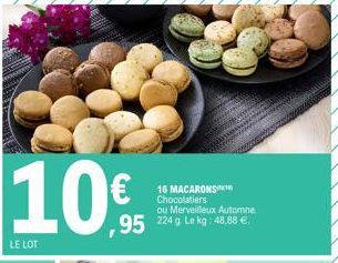 10€  LE LOT  ,95 Le kg:  16 MACARONS Chocolatiers  ou Merveilleux Automne 
