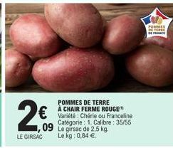 pommes de terre 