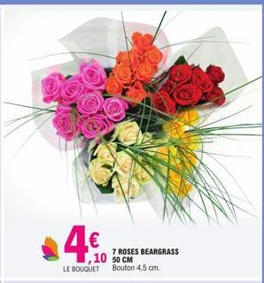 4.€  7 ROSES BEARGRASS ,10 50 CM  LE BOUQUET Bouton 4,5 cm. 