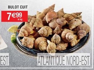 BULOT CUIT  7€ ⁹9⁹  ATLANTIQUE NORD-EST 