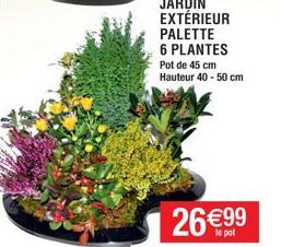 JARDIN EXTÉRIEUR PALETTE 6 PLANTES Pot de 45 cm Hauteur 40-50 cm  26 €99 