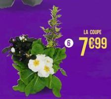 LA COUPE  7€99 