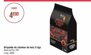 LUNITE  4€90  Briquette de charbon de bois 5 kgs Genie du Feu FSC Lekg:DE98  Gent  ORDETIES DE CHARBON DE 6200 