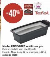 Moules CRISPYBAKE en silicone gris Plusieurs produits à des prix différents Exemple: Moule à cake 24 cm rétractable à 7€14 au lieu de 11€90  Tefal 