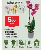 autres coloris  599  la  gardenline orchidée 2 branches coloris assortis.  12cm  regal mi-bre 