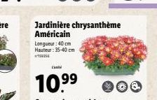 jardinière 