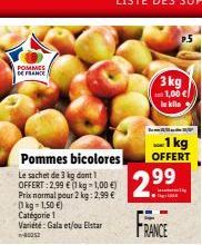 pommes 