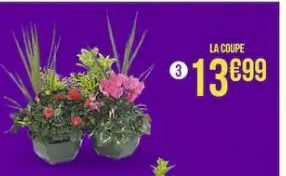 LA COUPE  €13€99 