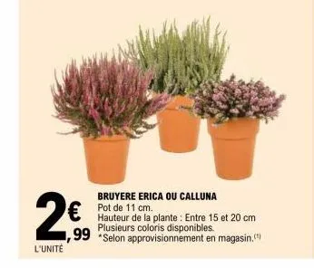 2€  l'unité  bruyere erica ou calluna pot de 11 cm.  hauteur de la plante: entre 15 et 20 cm plusieurs coloris disponibles. ,99 *selon approvisionnement en magasin.(¹) 