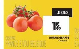 ORIGINE  FRANCE ET/OU BELGIQUE  LE KILO  1€,  99 