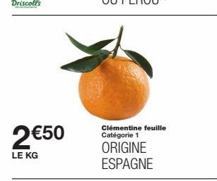 2€50  LE KG  Clémentine feuille Catégorie 1  ORIGINE ESPAGNE 