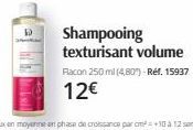 Shampooing texturisant volume  Racon 250 ml (4,80")-Réf. 15937  12€ 