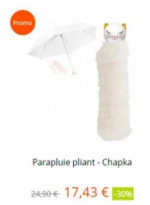 parapluie Promo