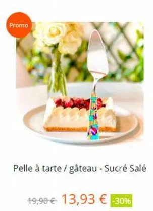 promo  pelle à tarte / gâteau - sucré salé  19,90€ 13,93 € -30% 