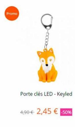 Promo  Porte clés LED - Keyled  4,90€ 2,45 € -50% 