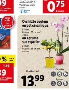 sans  huile  de  palme  sur le 2  le produit identique  produ  12 cm hauteur: 55 cm min  tege  ou agrume sur espalier  14 cm hauteur: 35 cm min. 179904  orchidée couleur en pot céramique  l'unité au c