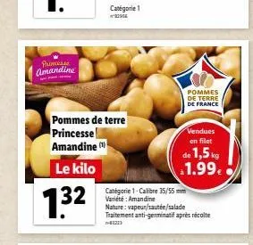 pommes de terre 