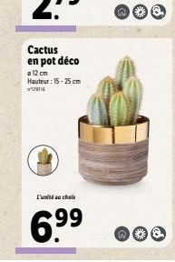 Cactus en pot déco  a 12 cm Hauteur: 15-25 cm  ²016  * 