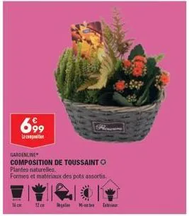 699  lacation  gardenline  composition de toussaint plantes naturelles.  formes et matériaux des pots assortis  12 cm  rower  