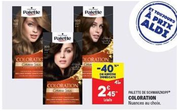 soldes Palette