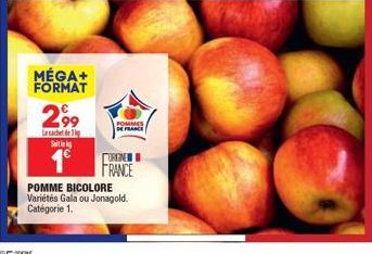 MÉGA+ FORMAT  2,99  Le sachet de g Sal  POMMES DE FRANCE  ORGNE FRANCE  POMME BICOLORE  Variétés Gala ou Jonagold. Catégorie 1. 