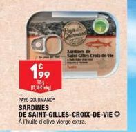 sardines 