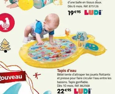 2013  *  tapis d'eau  bébé tente d'attraper les jouets flottants et presse pour faire circuler l'eau entre les bassins. tapis gonflable. dès 10 mois. réf. 862568  22€⁹5 ludi 