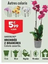 autres coloris  599  la  gardenline orchidée 2 branches coloris assortis.  12cm  regal mi-bre 