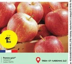 exp  1.€.  pomme gala categorie chiến t  tarn-et-garonne (62) 