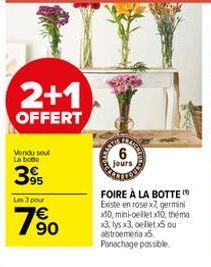 2+1  OFFERT  Vendu sou La botte  395  Les 3 pour  790  6  jours  FOIRE À LA BOTTE Existe en rose x7, germin x30, mini-celletx00, théma x3, lys x3, cellet x5 ou astroemeria 5 Panachage possible. 