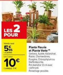 LES 2  POUR  Vendu seul  595  La plante Les 2 pour  10€  L'une: 5€  Plante Fleurie et Plante Verte (  Gerbera, Azalée, Kalanchoe. Rosier, Chamaedorea, Fougère, Chlorophytum ou Dieffenbacchia  Pot diam