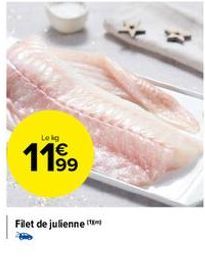 Lekg  1199  Filet de julienne ( 