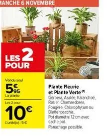 les 2  pour  vendu seul  595  la plante les 2 pour  10€  l'une: 5€  plante fleurie et plante verte (  gerbera, azalée, kalanchoe. rosier, chamaedorea, fougère, chlorophytum ou dieffenbacchia  pot diam