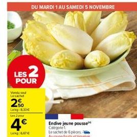 endive 