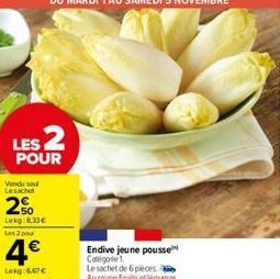 endive 