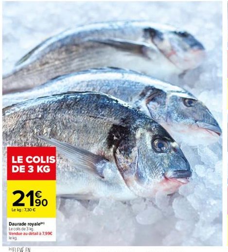 LE COLIS DE 3 KG  190  Le kg: 7,30 €  Daurade royale  Le colis de 3 kg.  Vendue au détail à 7,99€  le kg. 