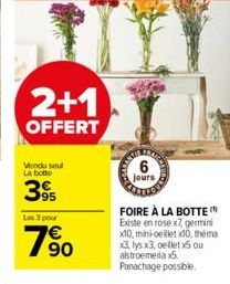 2+1  OFFERT  Vendu soul La botte  395  Les 3 pour  79⁹0  6  jours  FOIRE À LA BOTTE Existe en rose x7, germini x10, mini-oeillet x10, théma x3, lys x3, cellet x5 ou alstroemeria x5 Panachage possible.