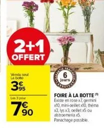 2+1  offert  vendu soul la botte  395  les 3 pour  79⁹0  6  jours  foire à la botte existe en rose x7, germini x10, mini-oeillet x10, théma x3, lys x3, cellet x5 ou alstroemeria x5 panachage possible.