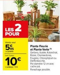 LES 2  POUR  Vendu seul  595  La planto  Les 2 pour  10€  L'unité(e): 5€  Plante Fleurie et Plante Verte  Gerbera, Azalée, Kalanchoé, Rosier, Chamaedorea, Fougère, Chlorophytum ou Dieffenbacchia.  Pot