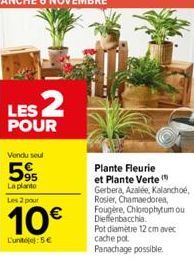 LES 2  POUR  Vendu seul  595  La planto  Les 2 pour  10€  L'unité(e): 5€  Plante Fleurie et Plante Verte  Gerbera, Azalée, Kalanchoé, Rosier, Chamaedorea, Fougère, Chlorophytum ou Dieffenbacchia.  Pot