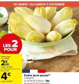 endive 