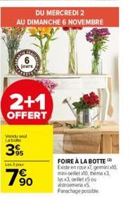 jours  2+1  OFFERT  Vendu sout Labione  395  Les 3 par  7%⁹0  DU MERCREDI 2  AU DIMANCHE 6 NOVEMBRE  FOIRE À LA BOTTE Existe en rose x7, geminix10 mini-elletx10, thema x3, lys x3, ellet Sou alstroemer