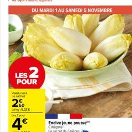 endive 