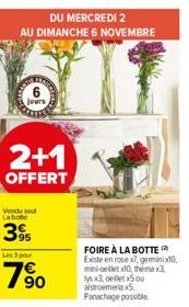 jours  2+1  OFFERT  Vendu sout Labione  395  DU MERCREDI 2  AU DIMANCHE 6 NOVEMBRE  FOIRE À LA BOTTE Existe en rose x7, geminix10 mini-elletx10, thema x3, lys x3, ellet Sou alstroemeria x5 Panachage p