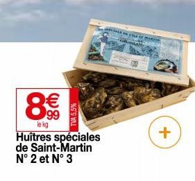 huîtres 